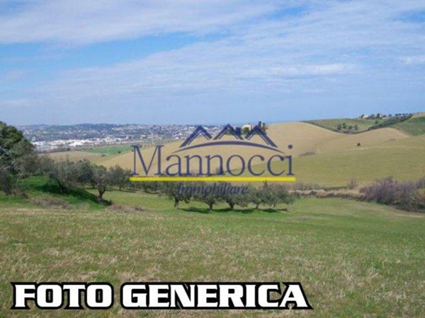 terreno agricolo in vendita a Cascina in zona Navacchio