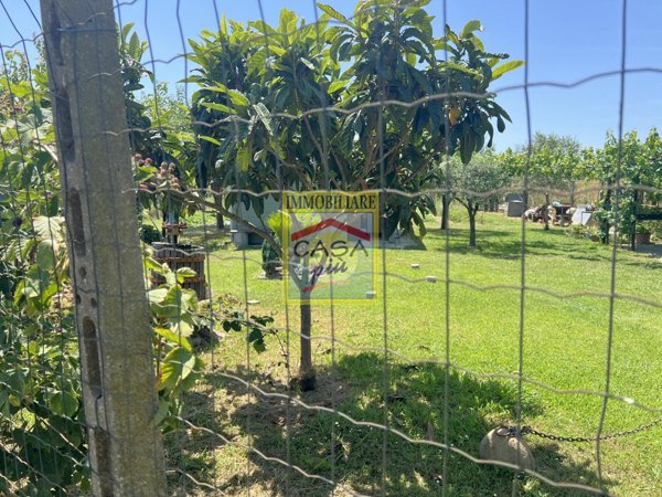 terreno agricolo in vendita a Cascina in zona Navacchio