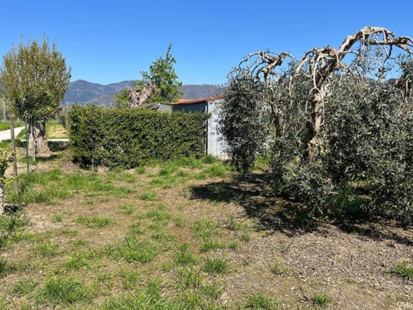 terreno agricolo in vendita a Cascina in zona Navacchio