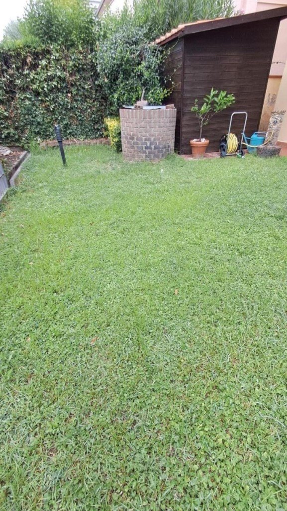 appartamento in vendita a Cascina in zona Marciana