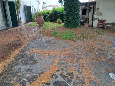 casa indipendente in vendita a Cascina in zona Navacchio