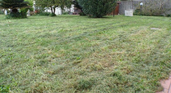 casa indipendente in vendita a Cascina