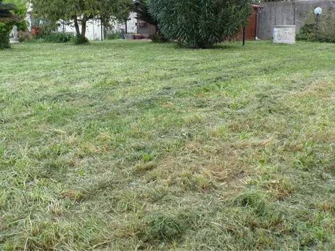 casa indipendente in vendita a Cascina in zona Navacchio