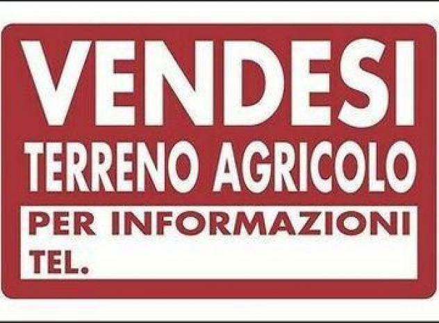 terreno in vendita a Cascina in zona Navacchio