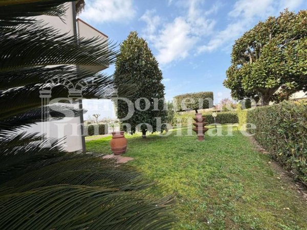 casa indipendente in vendita a Cascina in zona Musigliano