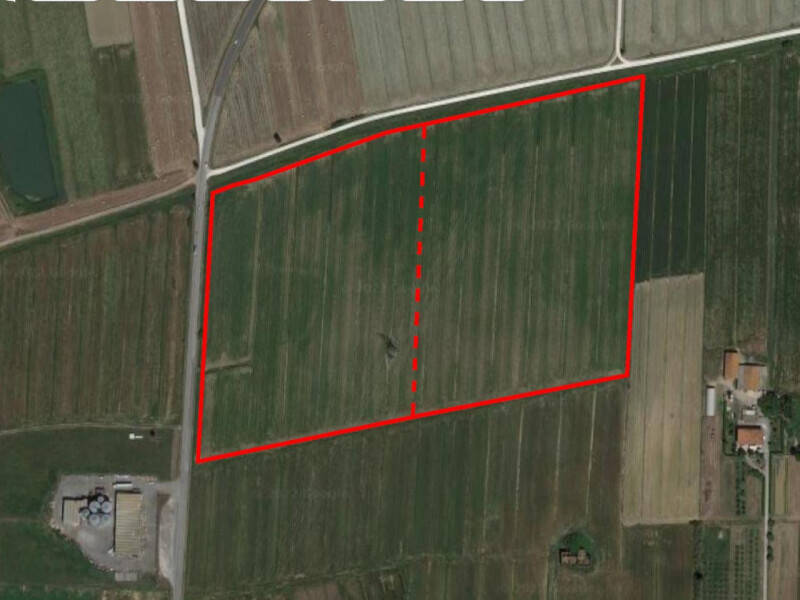terreno in vendita a Cascina in zona Marciana