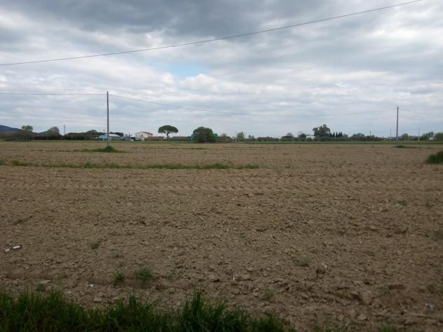 terreno in vendita a Cascina in zona San Lorenzo a Pagnatico