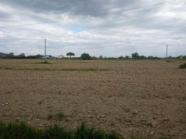 terreno in vendita a Cascina in zona San Lorenzo a Pagnatico