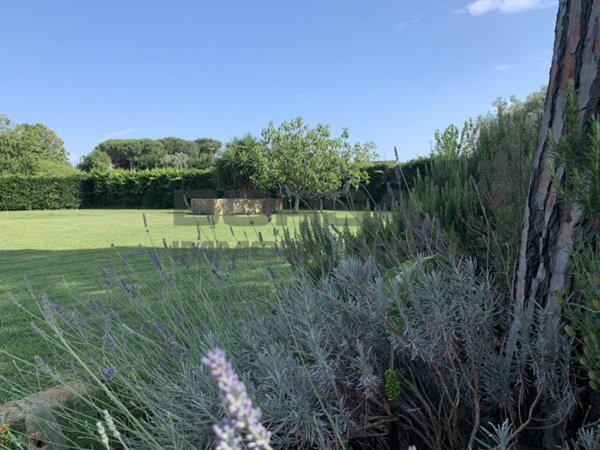 casa indipendente in vendita a Cascina in zona Marciana