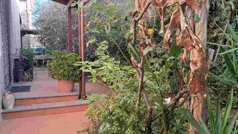 casa indipendente in vendita a Cascina in zona Navacchio