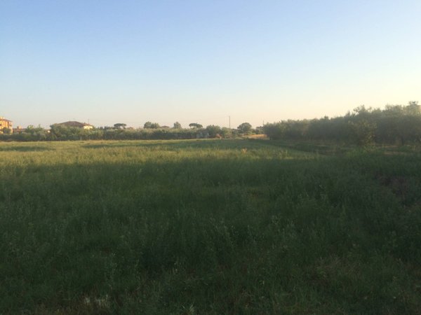 terreno in vendita a Cascina in zona Marciana