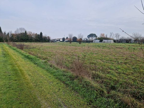 terreno agricolo in vendita a Castelfranco di Sotto