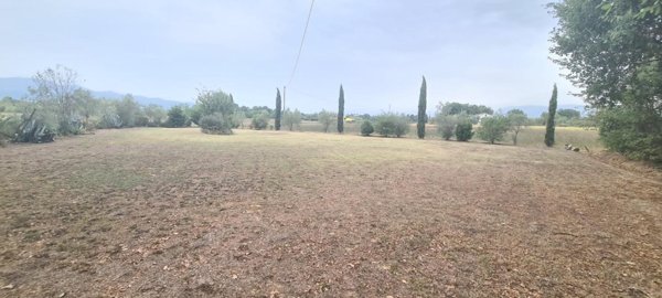 terreno agricolo in vendita a Castelfranco di Sotto in zona Orentano