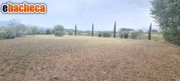 terreno agricolo in vendita a Castelfranco di Sotto in zona Orentano