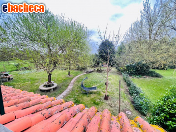 casa indipendente in vendita a Castelfranco di Sotto in zona Villa Campanile