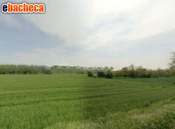 terreno agricolo in vendita a Castelfranco di Sotto