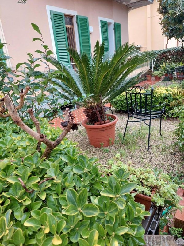 appartamento in vendita a Castelfranco di Sotto