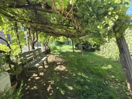 casa indipendente in vendita a Castelfranco di Sotto in zona Orentano