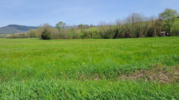 terreno agricolo in vendita a Castelfranco di Sotto