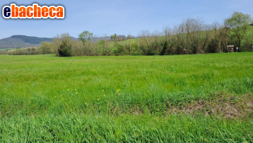 terreno agricolo in vendita a Castelfranco di Sotto