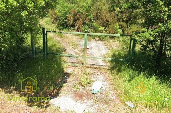 terreno agricolo in vendita a Castelfranco di Sotto