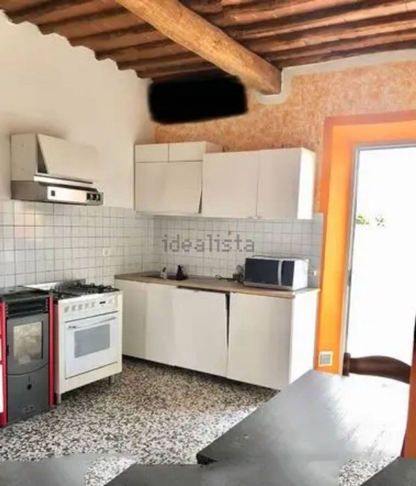 appartamento in vendita a Castelfranco di Sotto in zona Orentano
