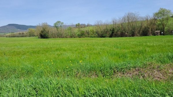 terreno agricolo in vendita a Castelfranco di Sotto