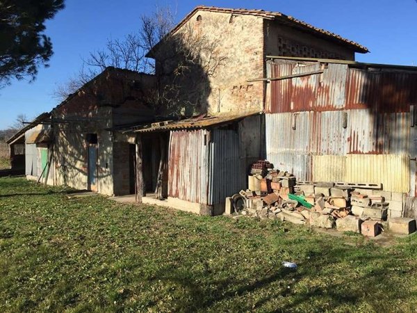 azienda agricola in vendita a Castelfranco di Sotto