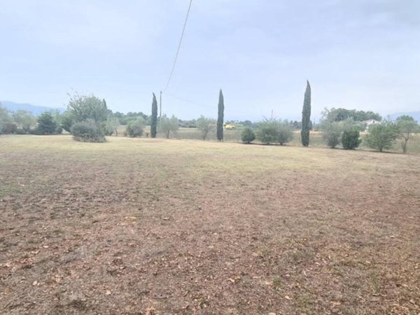 terreno agricolo in vendita a Castelfranco di Sotto in zona Orentano