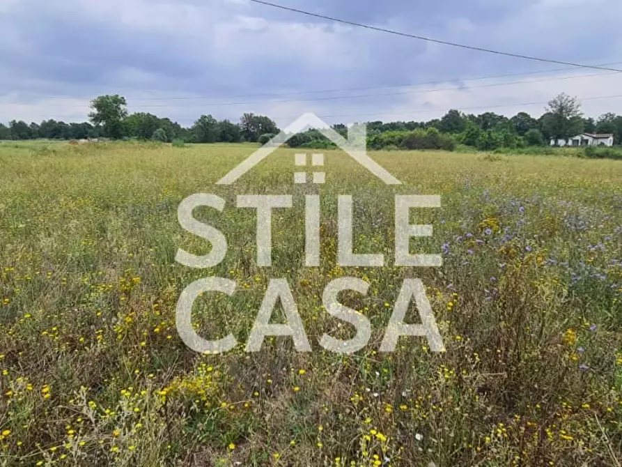 terreno agricolo in vendita a Castelfranco di Sotto in zona Orentano