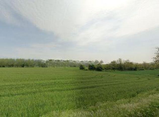terreno agricolo in vendita a Castelfranco di Sotto