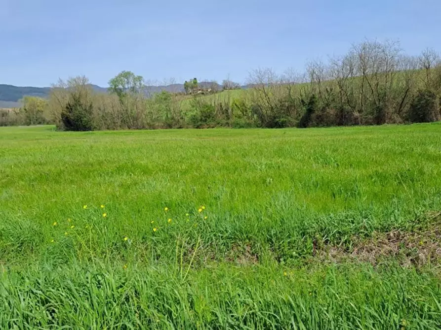 terreno agricolo in vendita a Castelfranco di Sotto