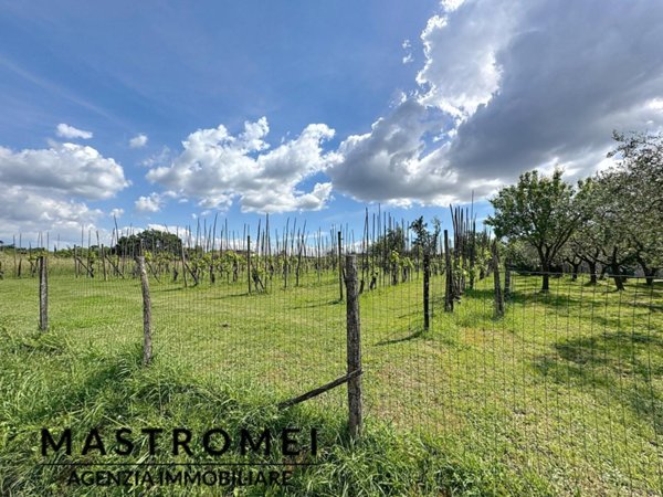 casa indipendente in vendita a Castelfranco di Sotto in zona Orentano