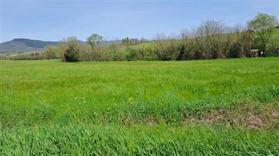 terreno agricolo in vendita a Castelfranco di Sotto