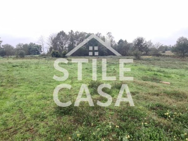 terreno agricolo in vendita a Castelfranco di Sotto in zona Orentano