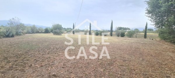 terreno agricolo in vendita a Castelfranco di Sotto in zona Orentano