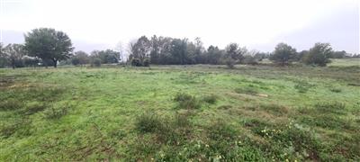 terreno agricolo in vendita a Castelfranco di Sotto in zona Orentano