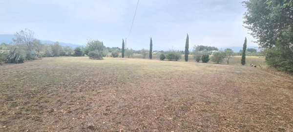 terreno agricolo in vendita a Castelfranco di Sotto in zona Orentano