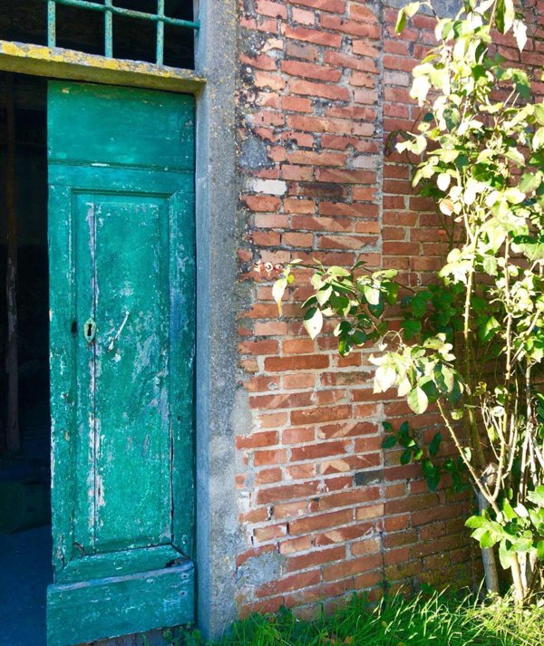 azienda agricola in vendita a Castelfranco di Sotto in zona Villa Campanile