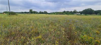terreno agricolo in vendita a Castelfranco di Sotto in zona Orentano