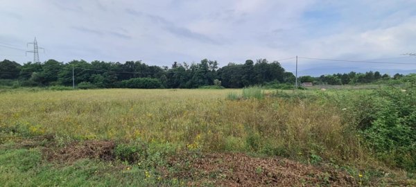 terreno agricolo in vendita a Castelfranco di Sotto in zona Orentano