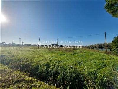 terreno agricolo in vendita a Castelfranco di Sotto