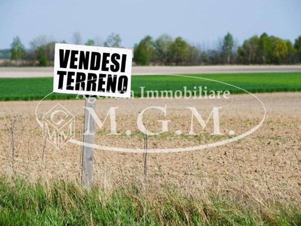 terreno agricolo in vendita a Castelfranco di Sotto