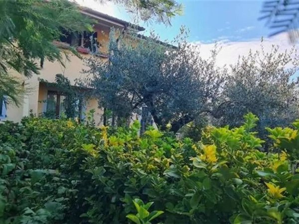 casa indipendente in vendita a Castelfranco di Sotto in zona Villa Campanile