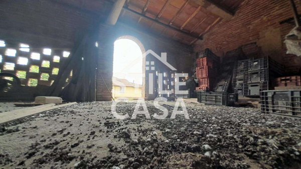 azienda agricola in vendita a Castelfranco di Sotto in zona Orentano