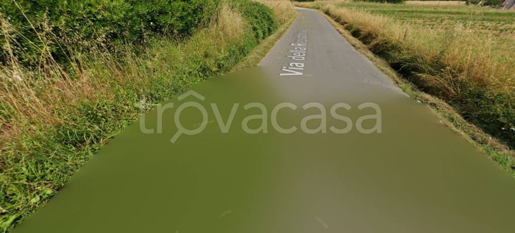 terreno agricolo in vendita a Castelfranco di Sotto in zona Orentano
