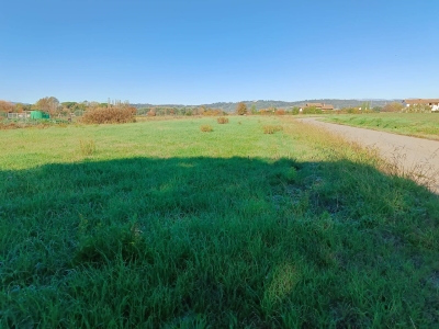 terreno edificabile in vendita a Castelfranco di Sotto