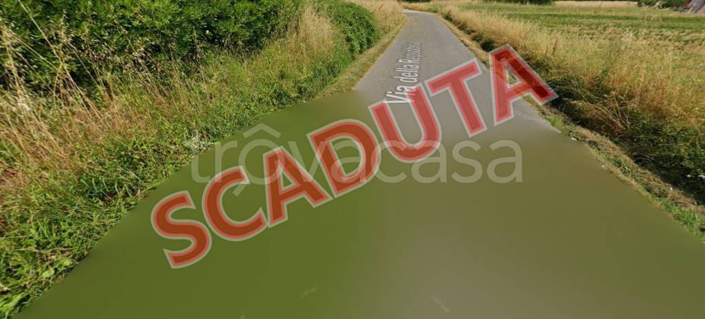 terreno agricolo in vendita a Castelfranco di Sotto in zona Orentano