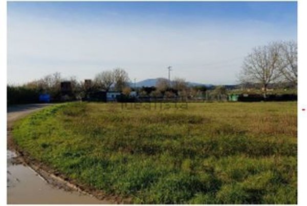 terreno agricolo in vendita a Castelfranco di Sotto