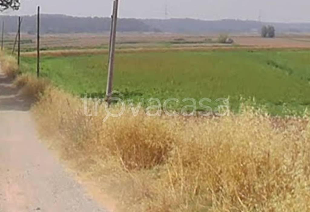 terreno agricolo in vendita a Castelfranco di Sotto in zona Orentano